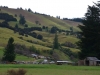 countryside near Nelson