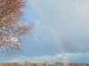 Blenheim rainbow